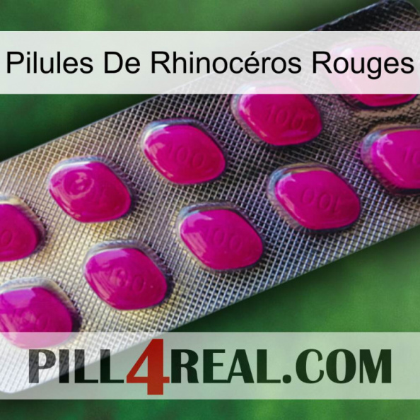 Pilules De Rhinocéros Rouges 09